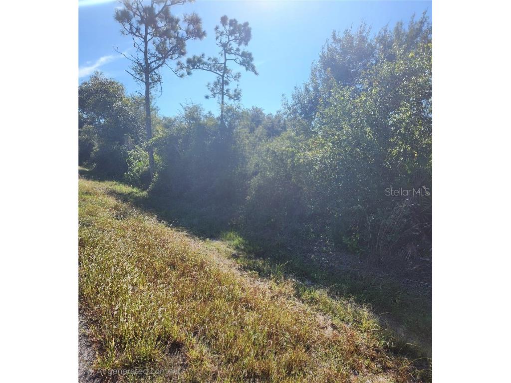 29221 Defiance Avenue Punta Gorda FL 33982 A4669735 image1