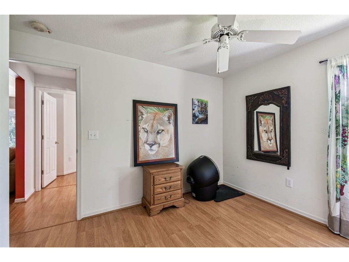 29228 Birds Eye Drive Wesley Chapel FL 33543 W7880925 image31