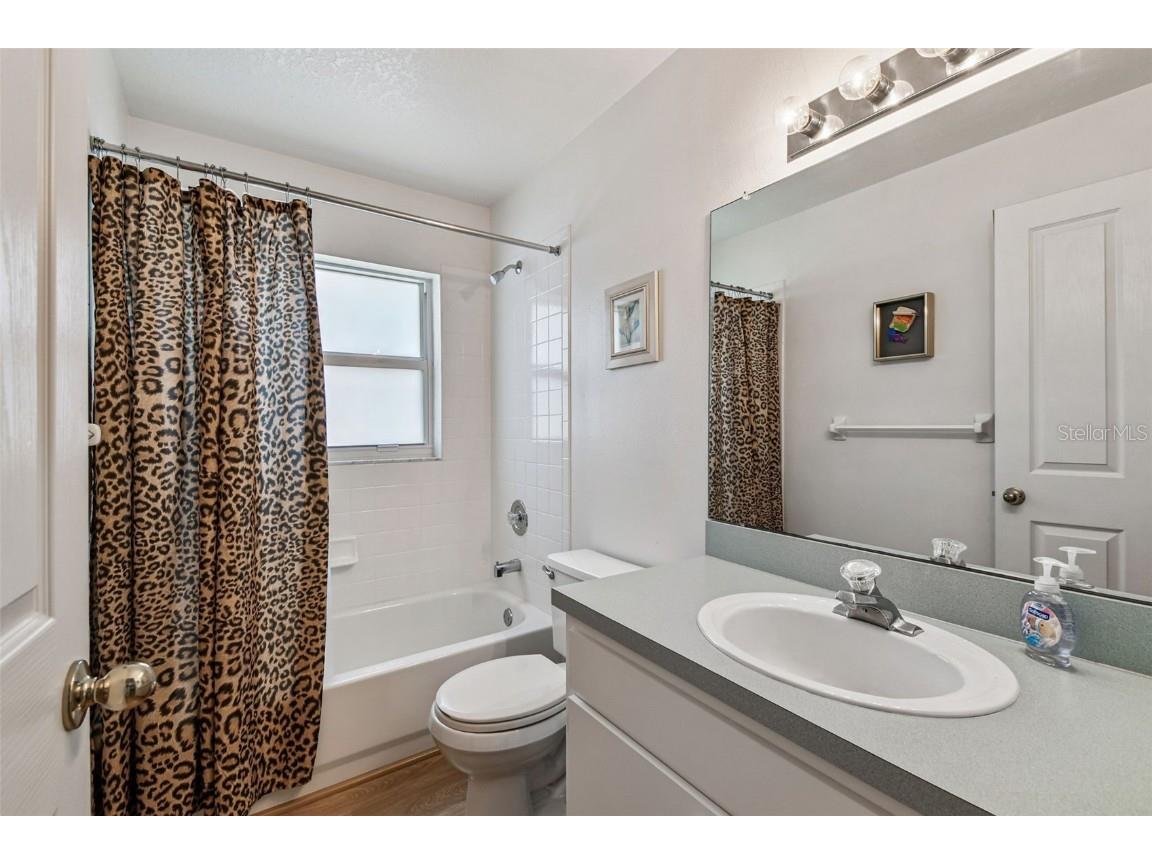 29228 Birds Eye Drive Wesley Chapel FL 33543 W7880925 image32