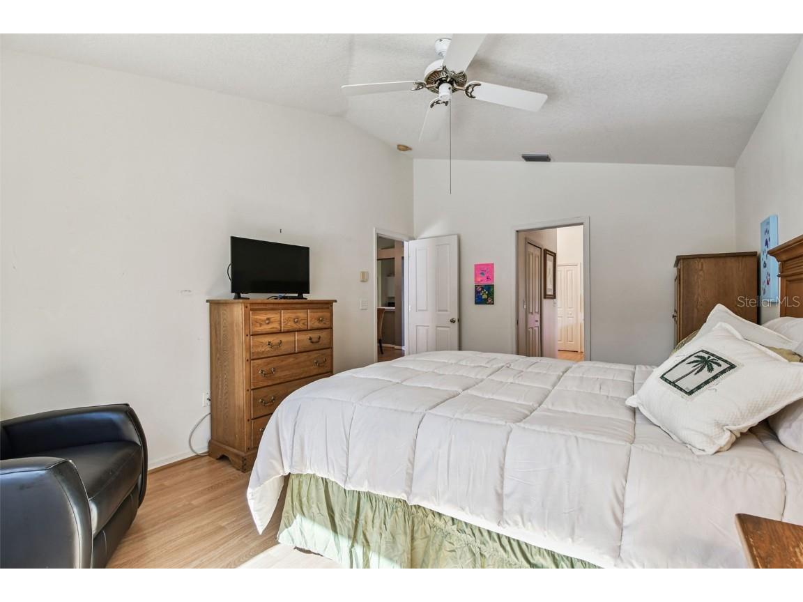 29228 Birds Eye Drive Wesley Chapel FL 33543 W7880925 image37