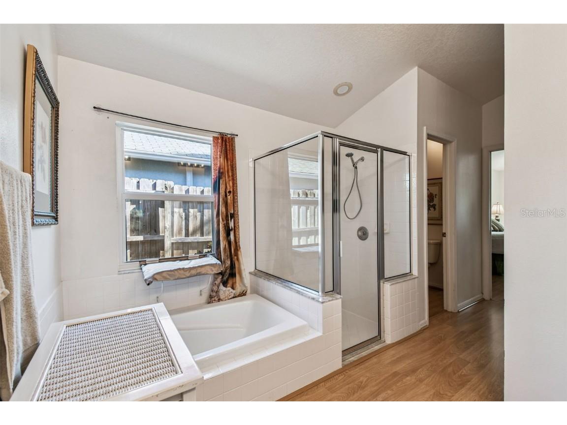 29228 Birds Eye Drive Wesley Chapel FL 33543 W7880925 image41