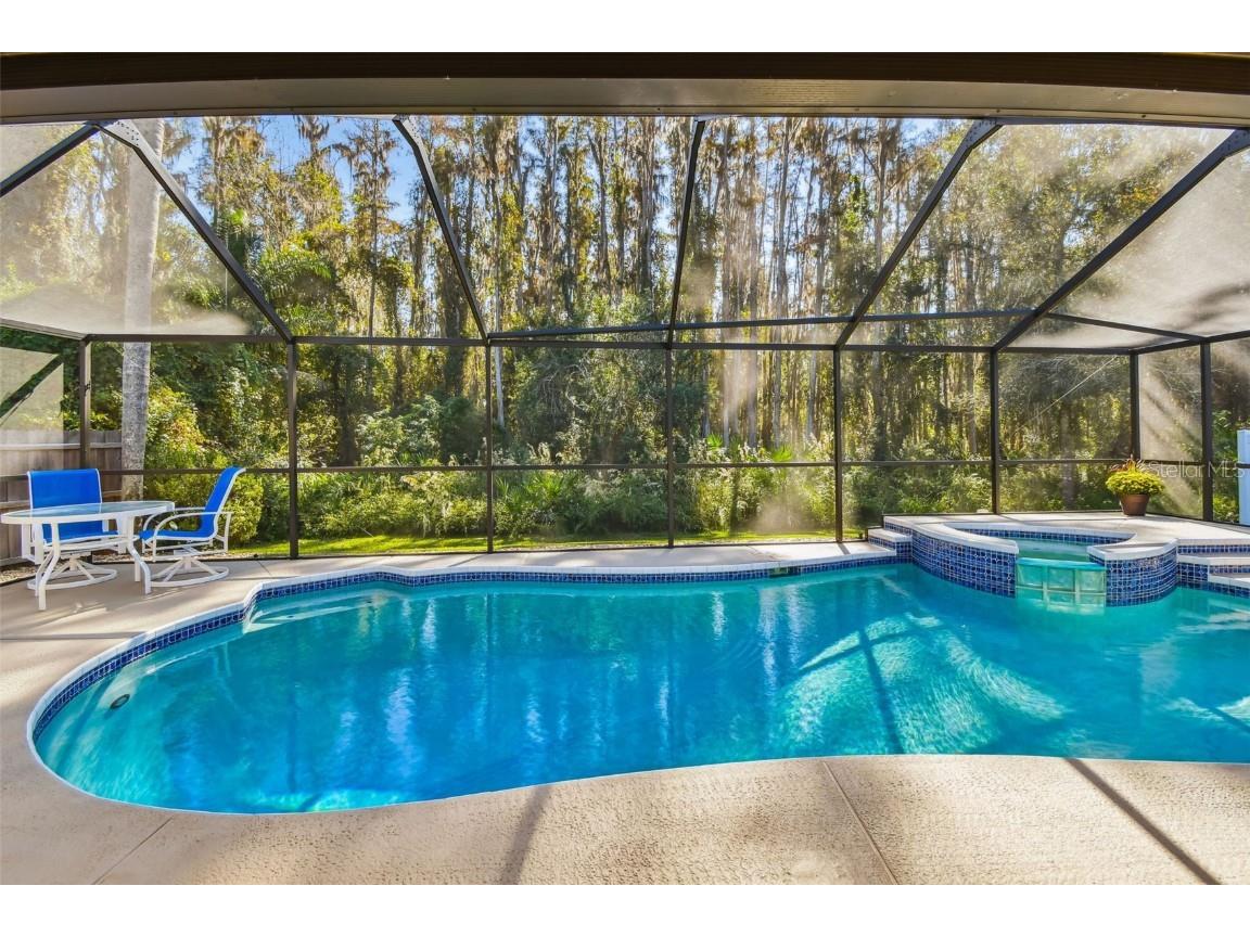 29228 Birds Eye Drive Wesley Chapel FL 33543 W7880925 image42