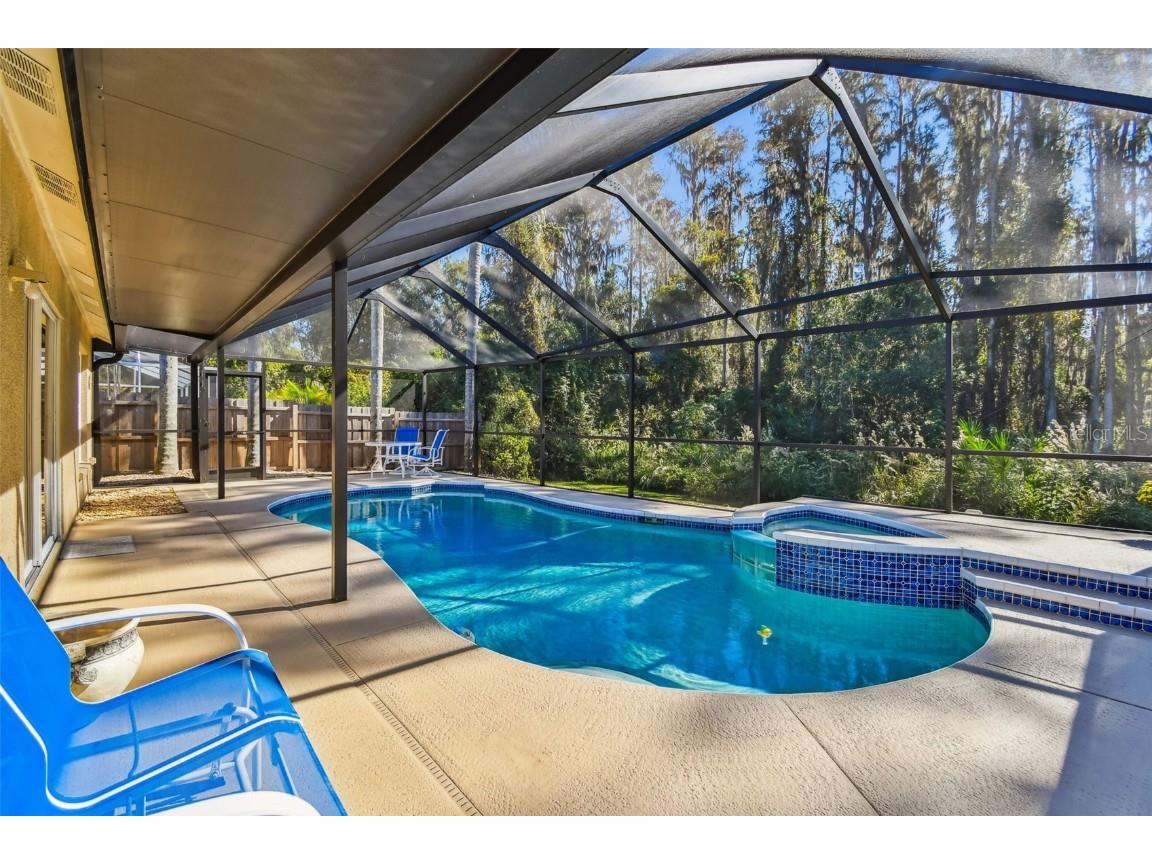 29228 Birds Eye Drive Wesley Chapel FL 33543 W7880925 image45