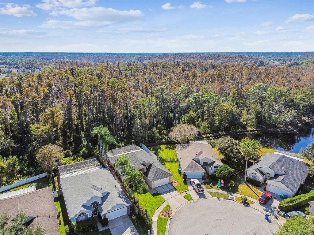 29228 Birds Eye Drive Wesley Chapel FL 33543 W7880925 image50