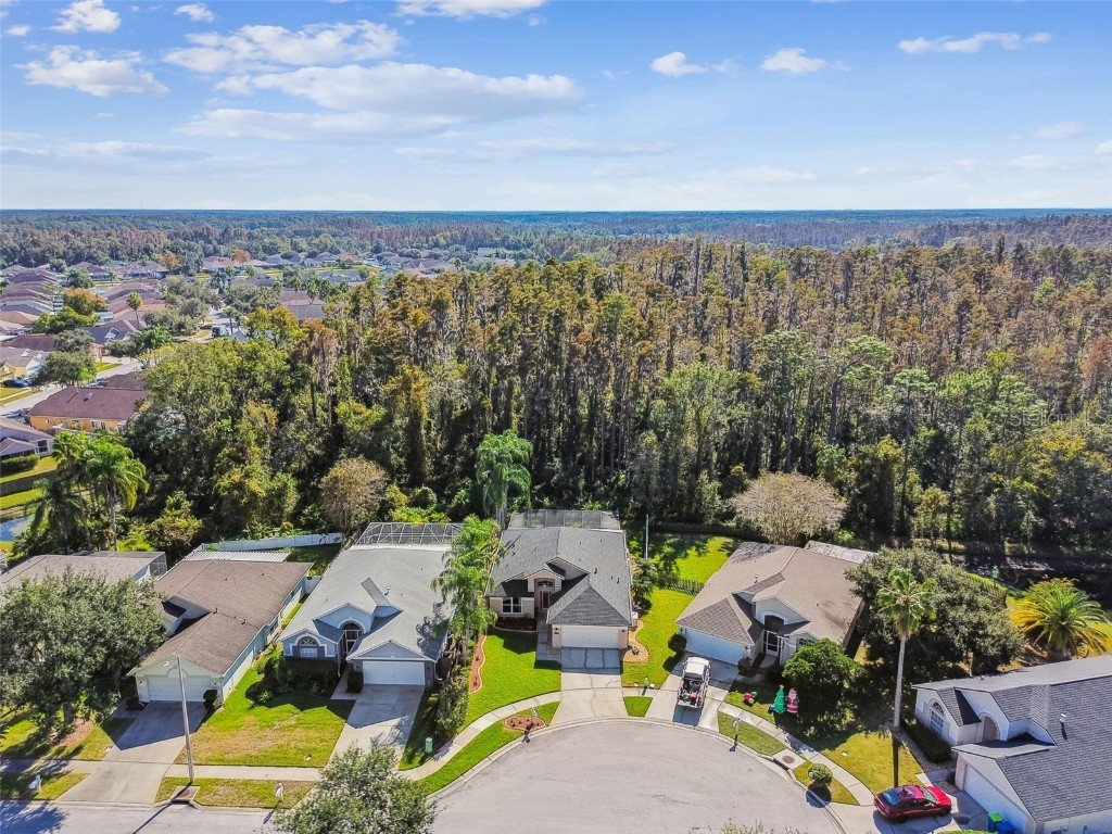 29228 Birds Eye Drive Wesley Chapel FL 33543 W7880925 image51