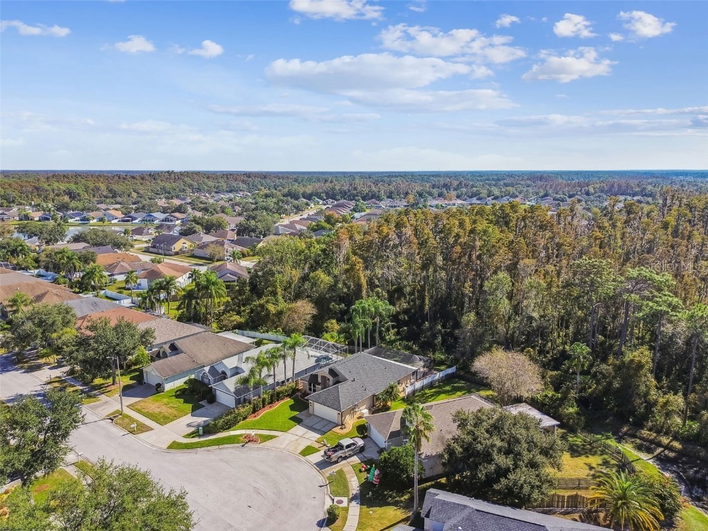 29228 Birds Eye Drive Wesley Chapel FL 33543 W7880925 image52