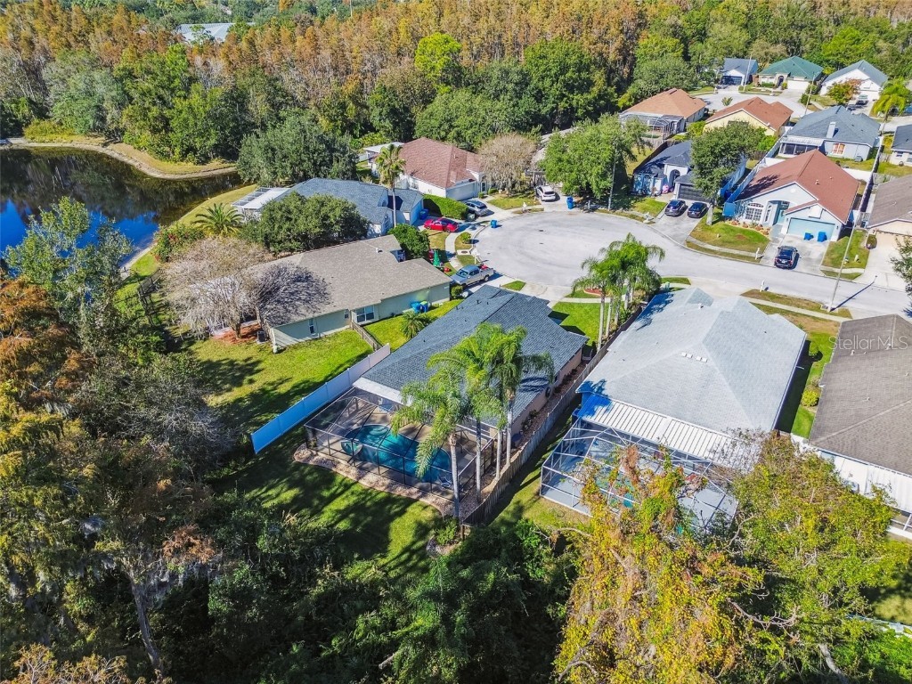 29228 Birds Eye Drive Wesley Chapel FL 33543 W7880925 image54