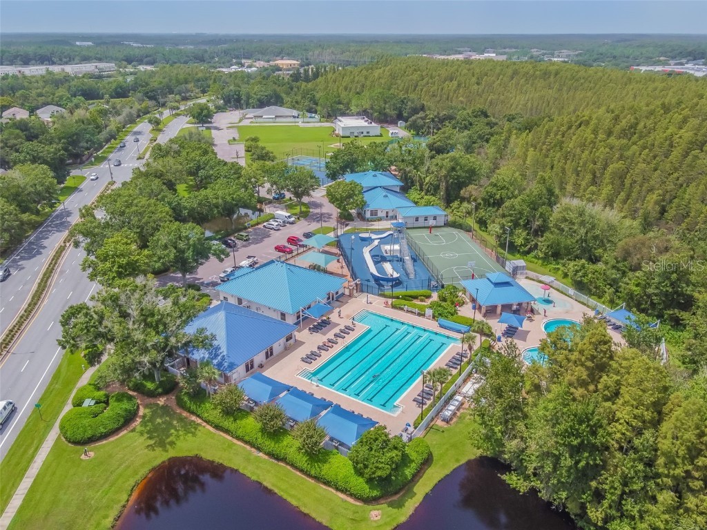 29228 Birds Eye Drive Wesley Chapel FL 33543 W7880925 image56