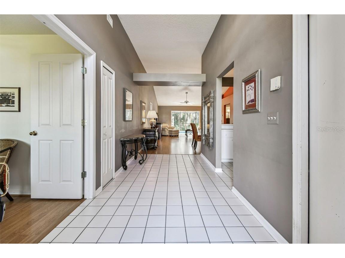 29228 Birds Eye Drive Wesley Chapel FL 33543 W7880925 image6