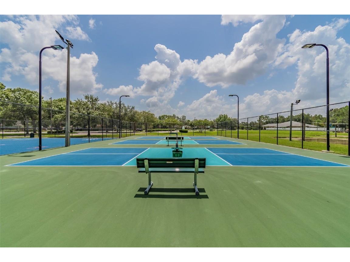 29228 Birds Eye Drive Wesley Chapel FL 33543 W7880925 image63