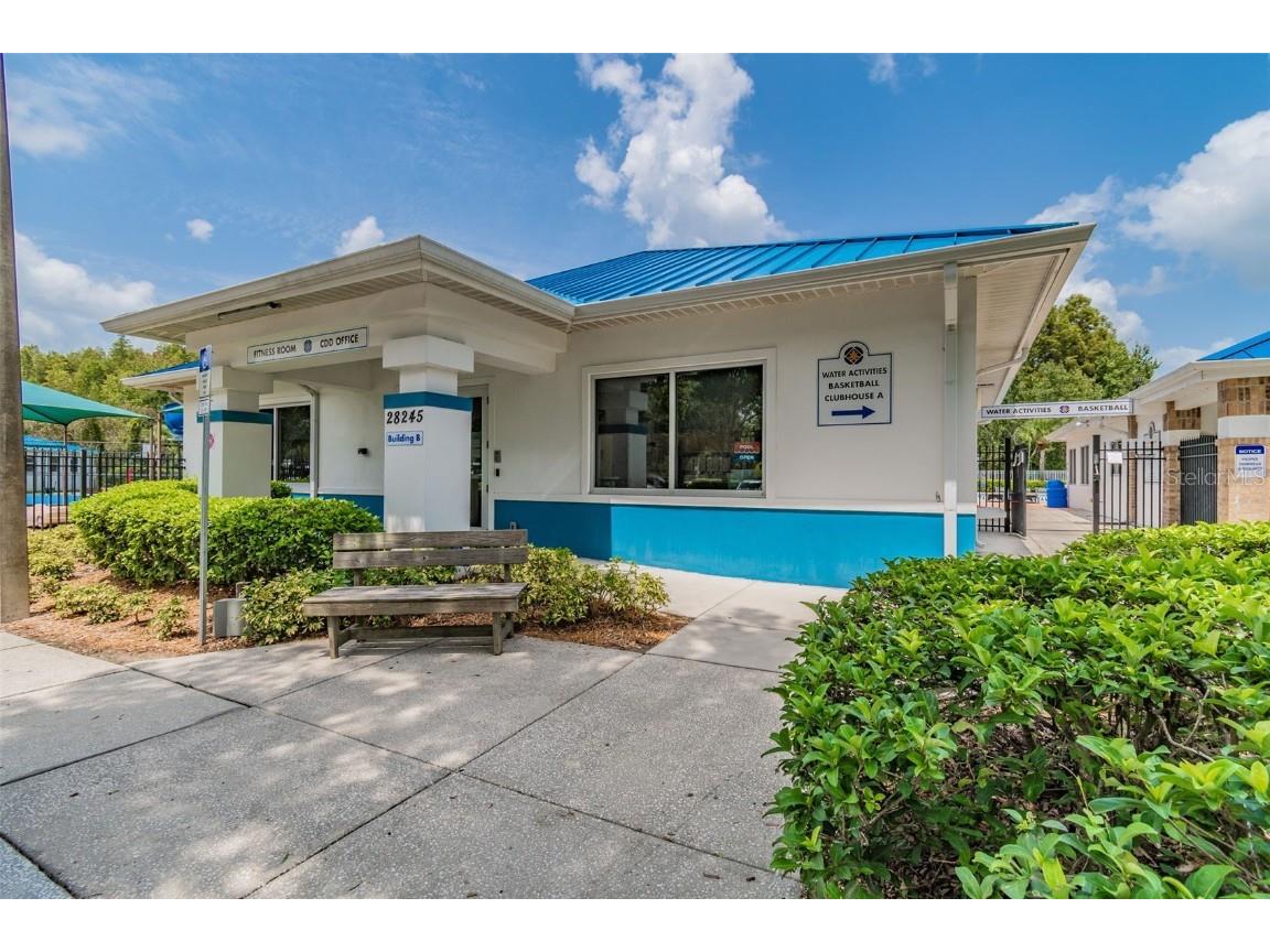 29228 Birds Eye Drive Wesley Chapel FL 33543 W7880925 image65