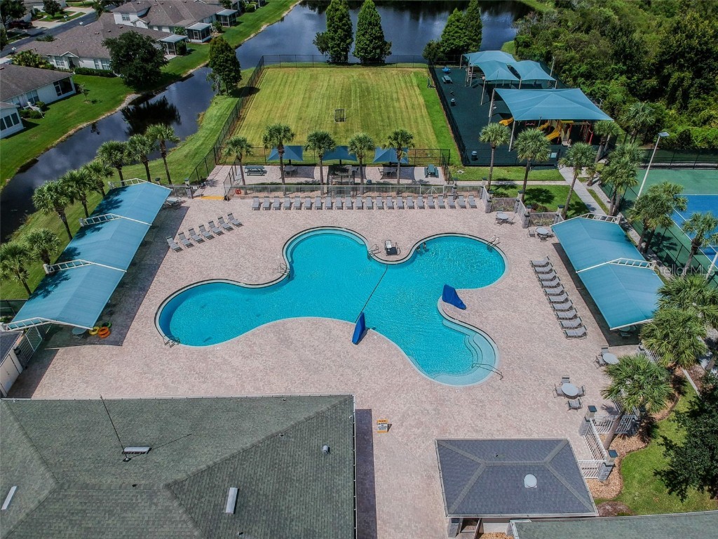 29228 Birds Eye Drive Wesley Chapel FL 33543 W7880925 image66