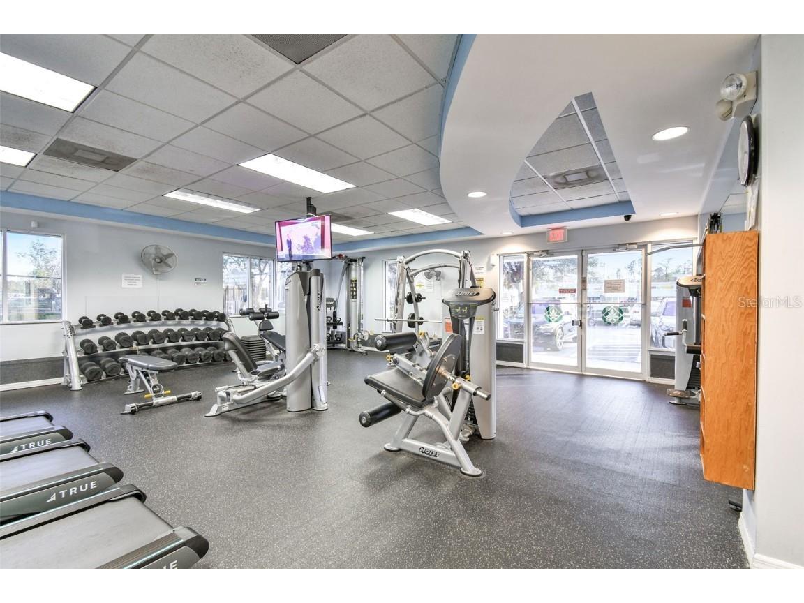 29228 Birds Eye Drive Wesley Chapel FL 33543 W7880925 image77