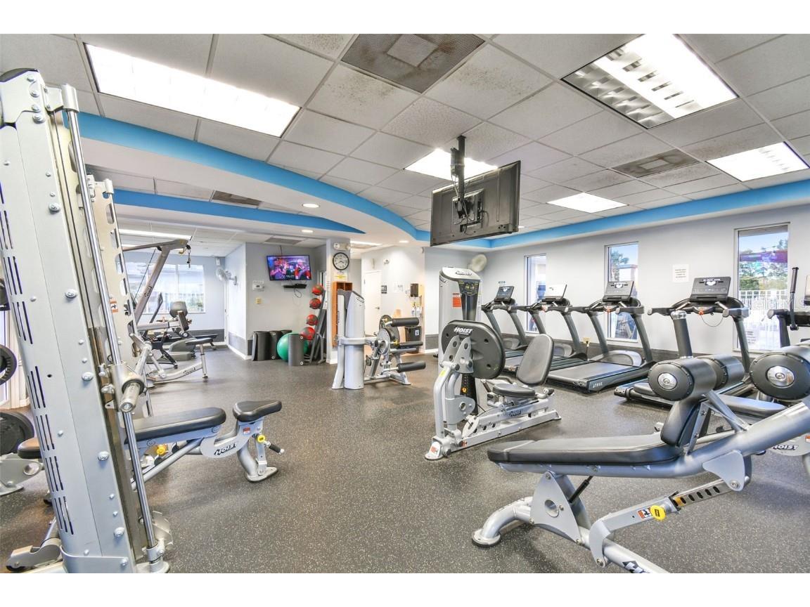 29228 Birds Eye Drive Wesley Chapel FL 33543 W7880925 image78