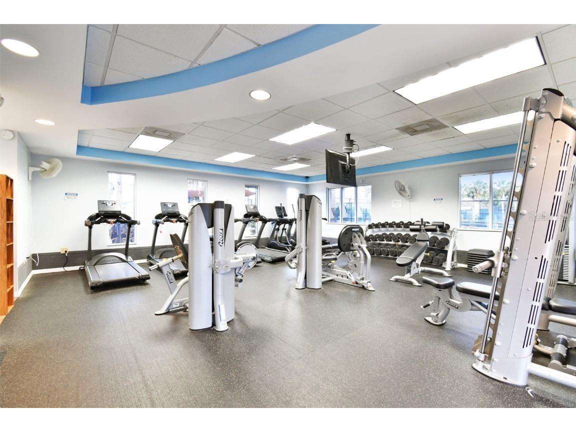 29228 Birds Eye Drive Wesley Chapel FL 33543 W7880925 image79