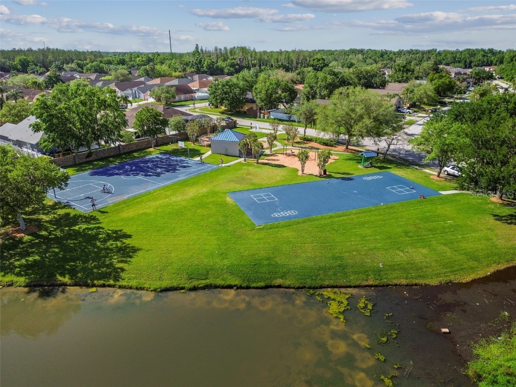 29228 Birds Eye Drive Wesley Chapel FL 33543 W7880925 image86