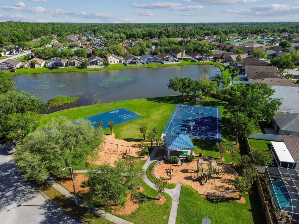 29228 Birds Eye Drive Wesley Chapel FL 33543 W7880925 image87
