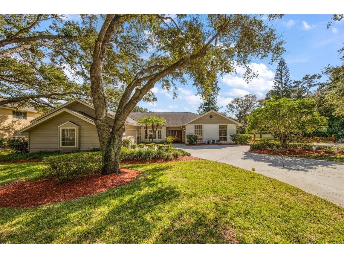 2923 Elysium Way Clearwater FL 33759 U8249993 image1