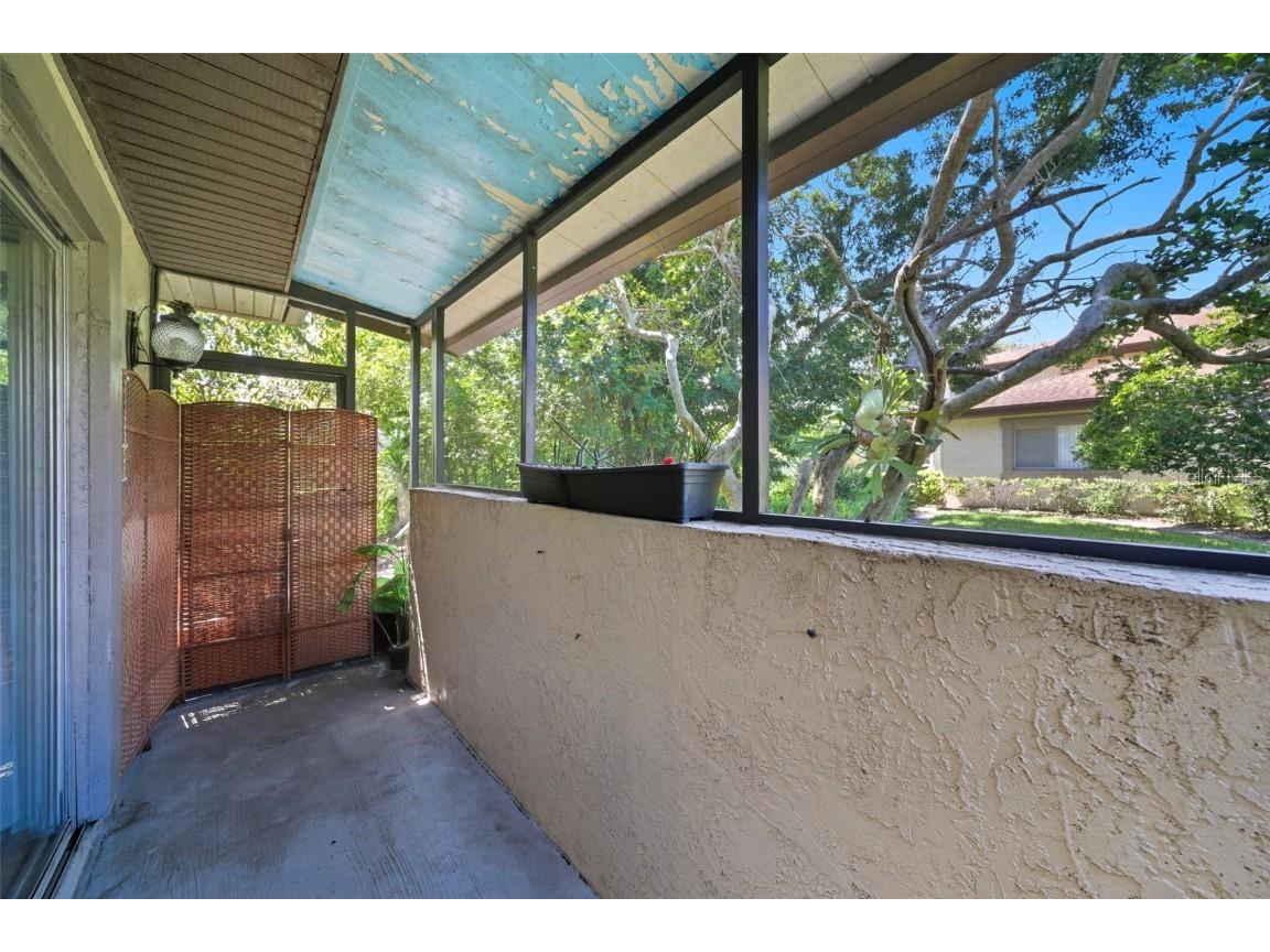 2923 Lichen Lane #A Clearwater FL 33760 OM709705 image18