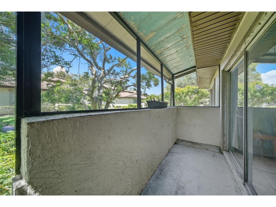 2923 Lichen Lane #A Clearwater FL 33760 OM709705 image19