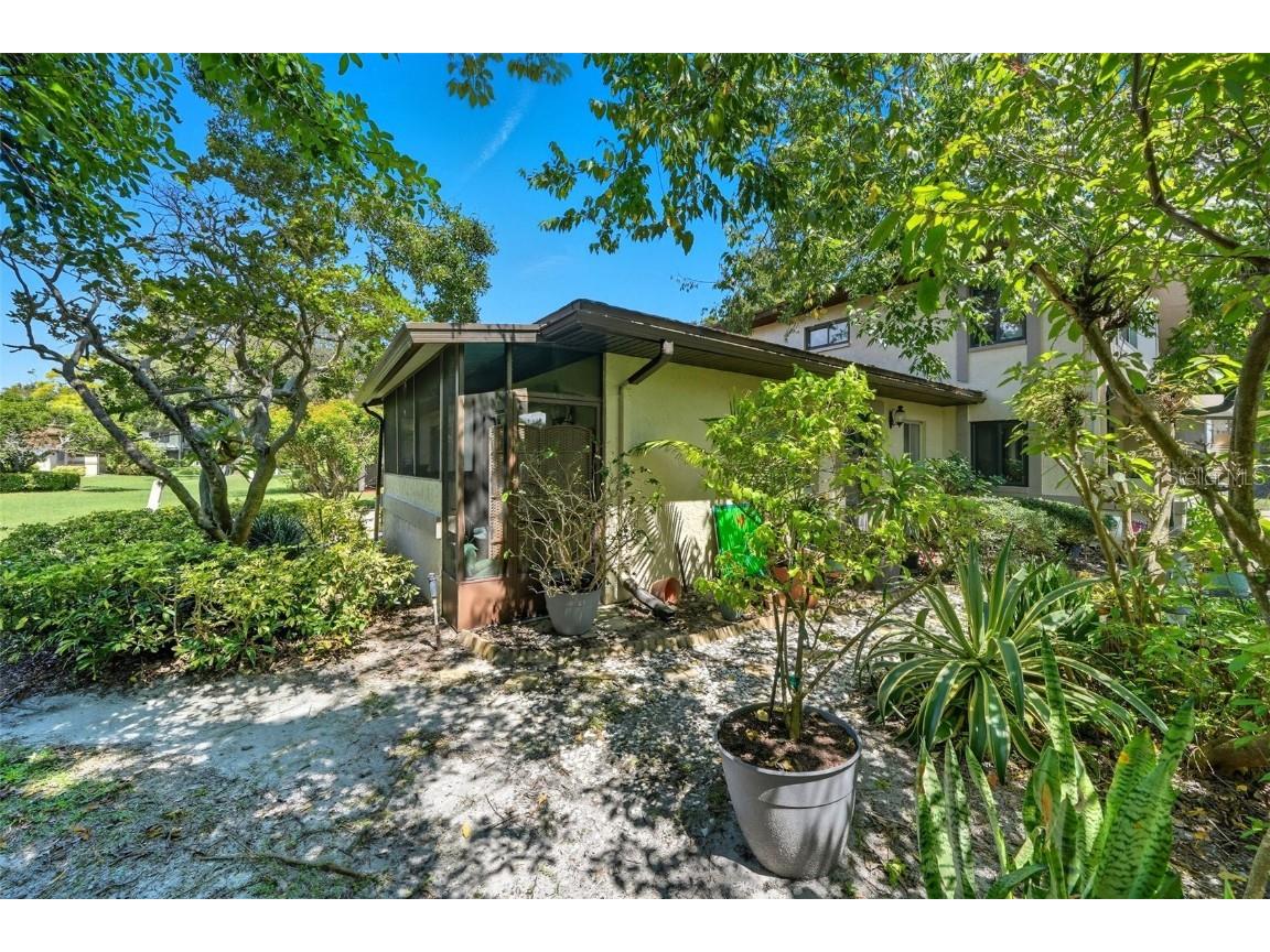 2923 Lichen Lane #A Clearwater FL 33760 OM709705 image22