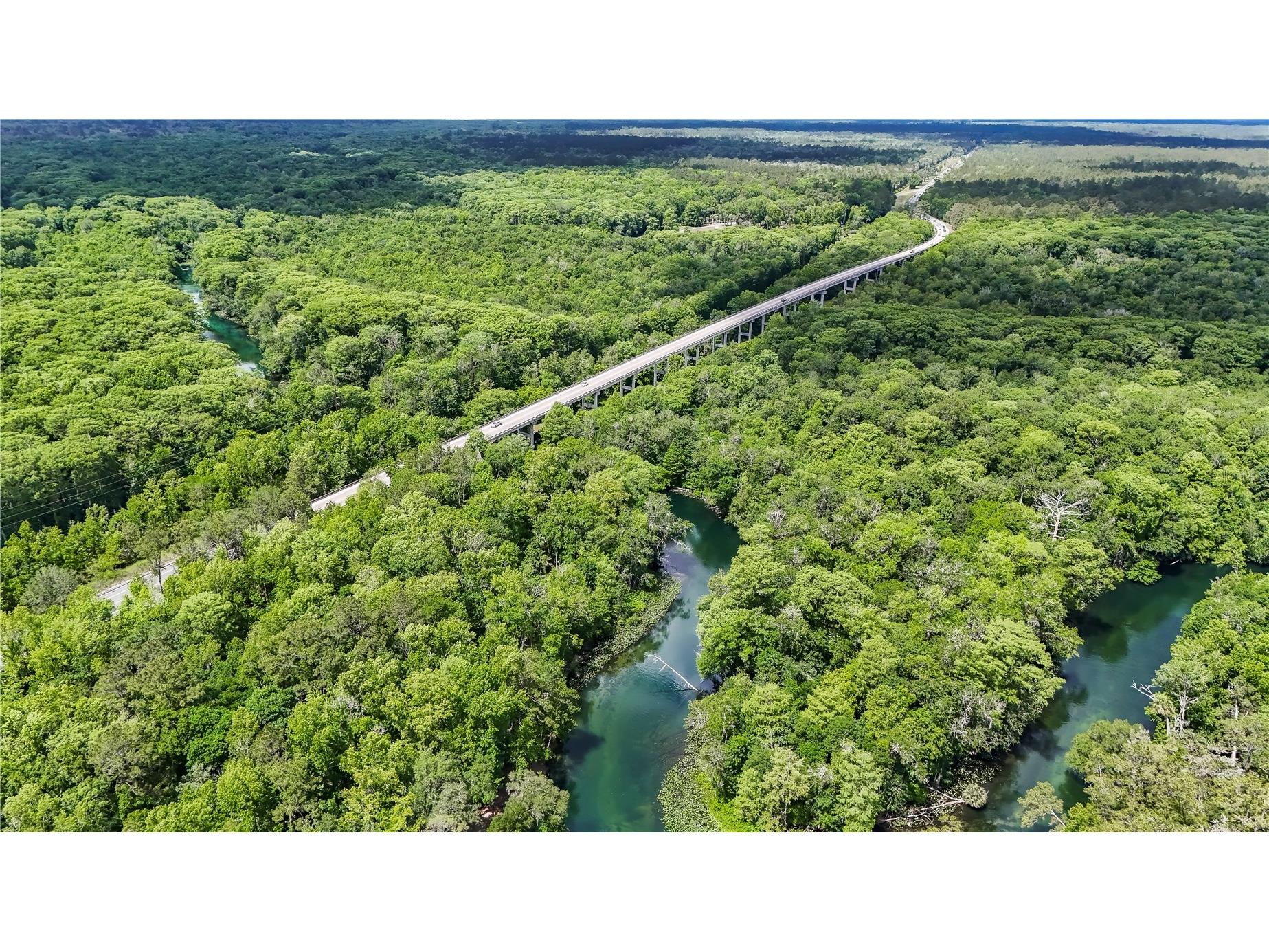 2923 NE 104th Avenue Silver Springs FL 34488 - OCKLAWAHA RIVER OM725887 image33