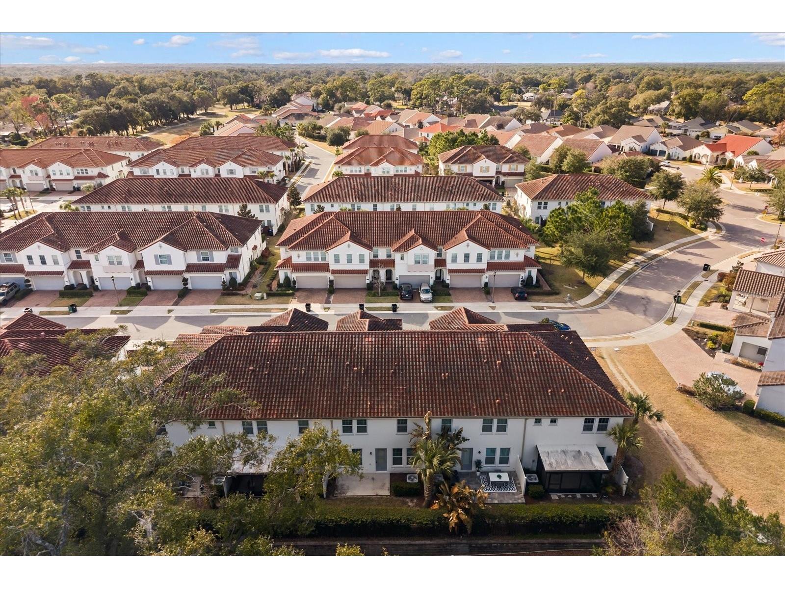 2923 Rapollo Lane Apopka FL 32712 O6380365 image29