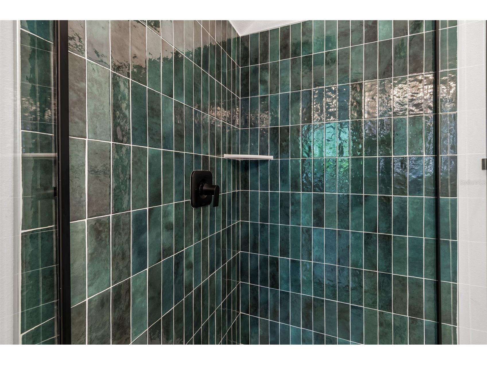 2923 W Elrod Avenue Tampa FL 33611 TB8466745 image9
