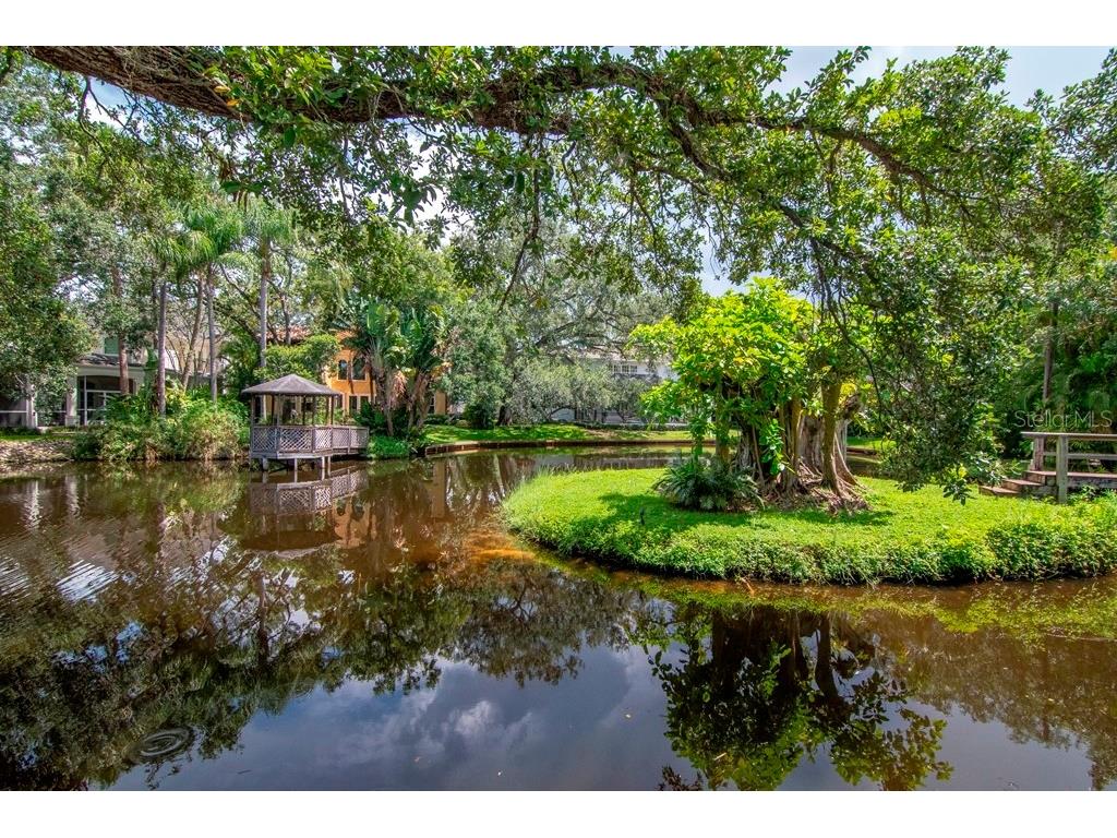 2923 W Gandy Boulevard #2923 Tampa FL 33611 TB8397863 image3