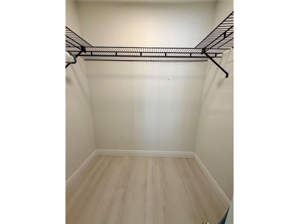 29230 Bay Hollow Drive #3282 Wesley Chapel FL 33543 TB8457324 image10