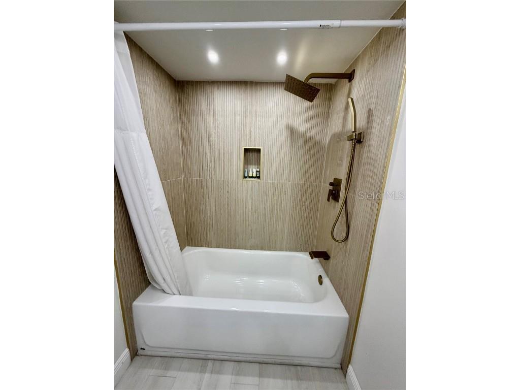 29230 Bay Hollow Drive #3282 Wesley Chapel FL 33543 TB8457324 image12