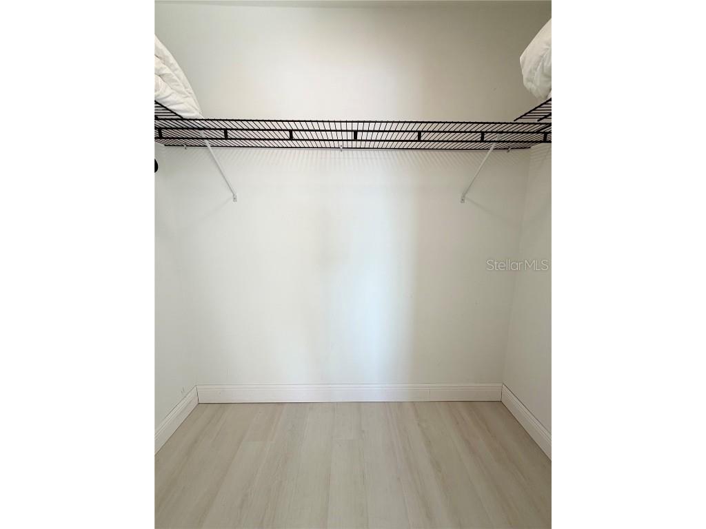 29230 Bay Hollow Drive #3282 Wesley Chapel FL 33543 TB8457324 image16