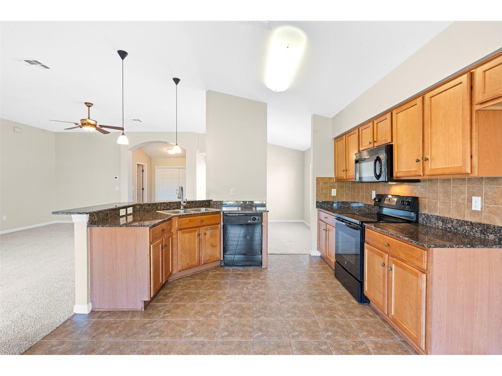 29232 Coharie Loop San Antonio FL 33576 TB8483161 image14