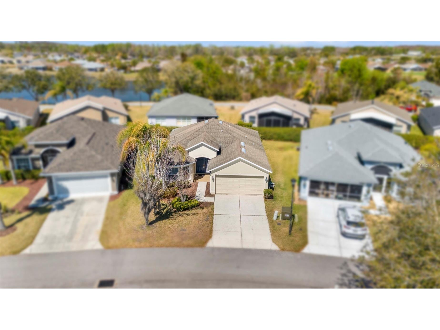 29232 Coharie Loop San Antonio FL 33576 TB8483161 image47
