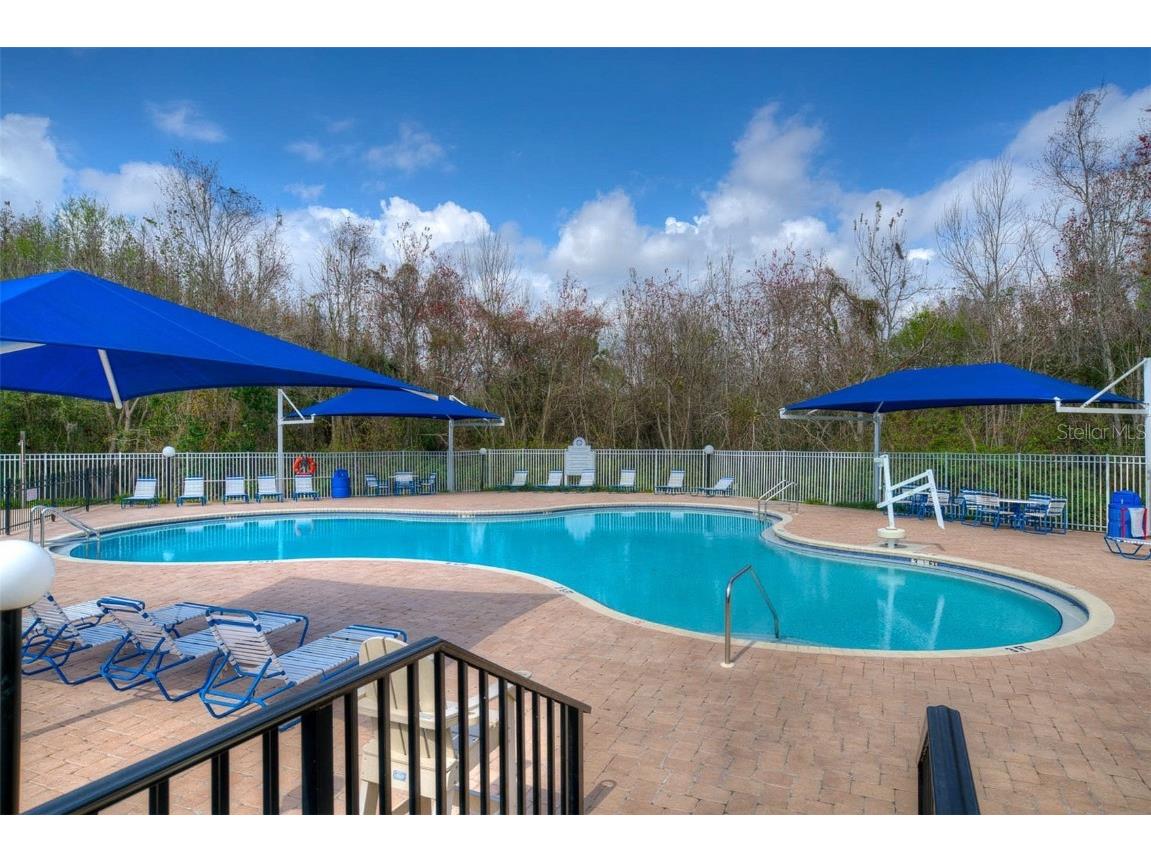 29233 Birds Eye Drive Wesley Chapel FL 33543 TB8457348 image30