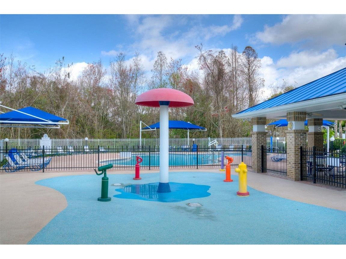 29233 Birds Eye Drive Wesley Chapel FL 33543 TB8457348 image32