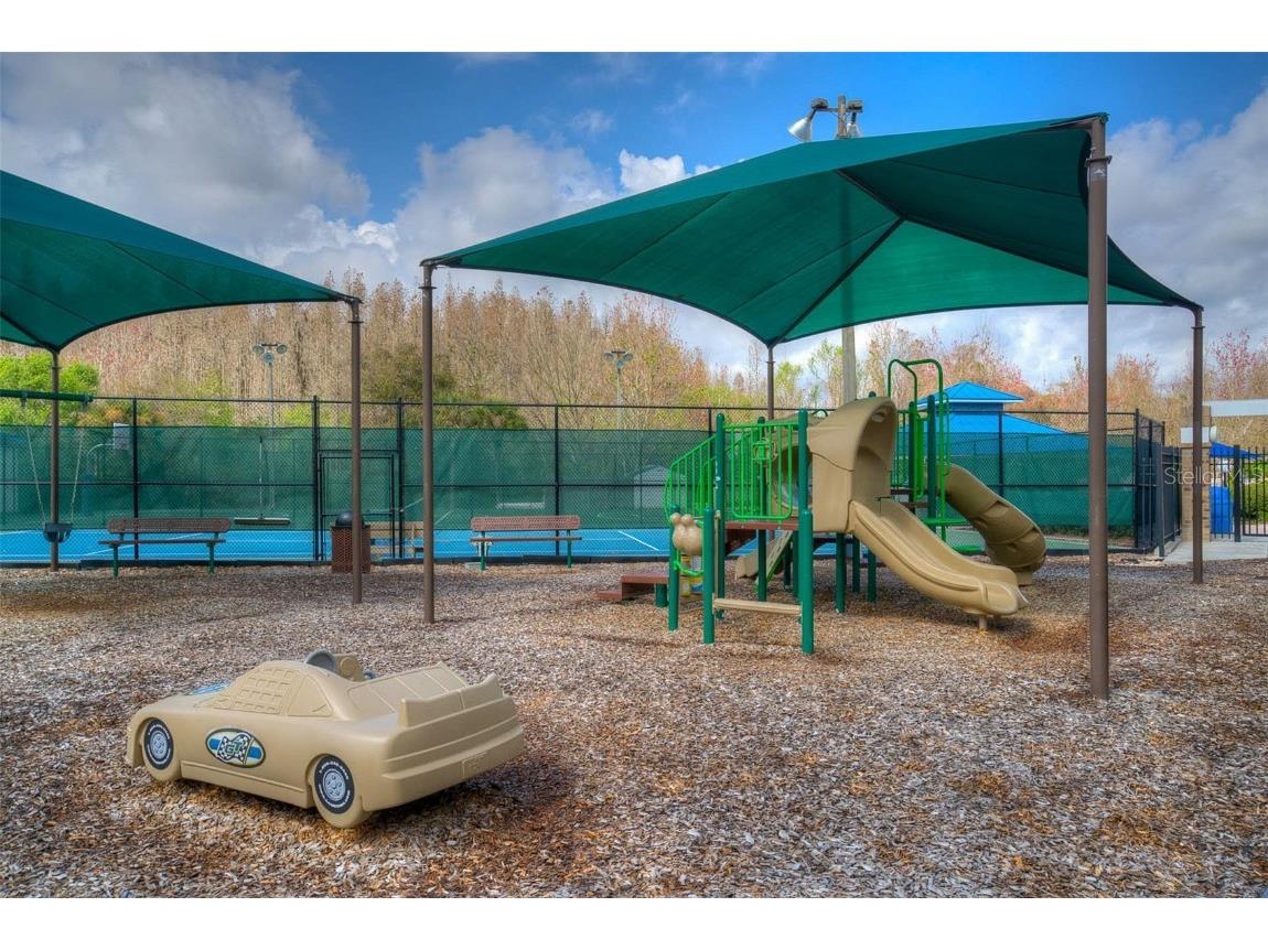 29233 Birds Eye Drive Wesley Chapel FL 33543 TB8457348 image34