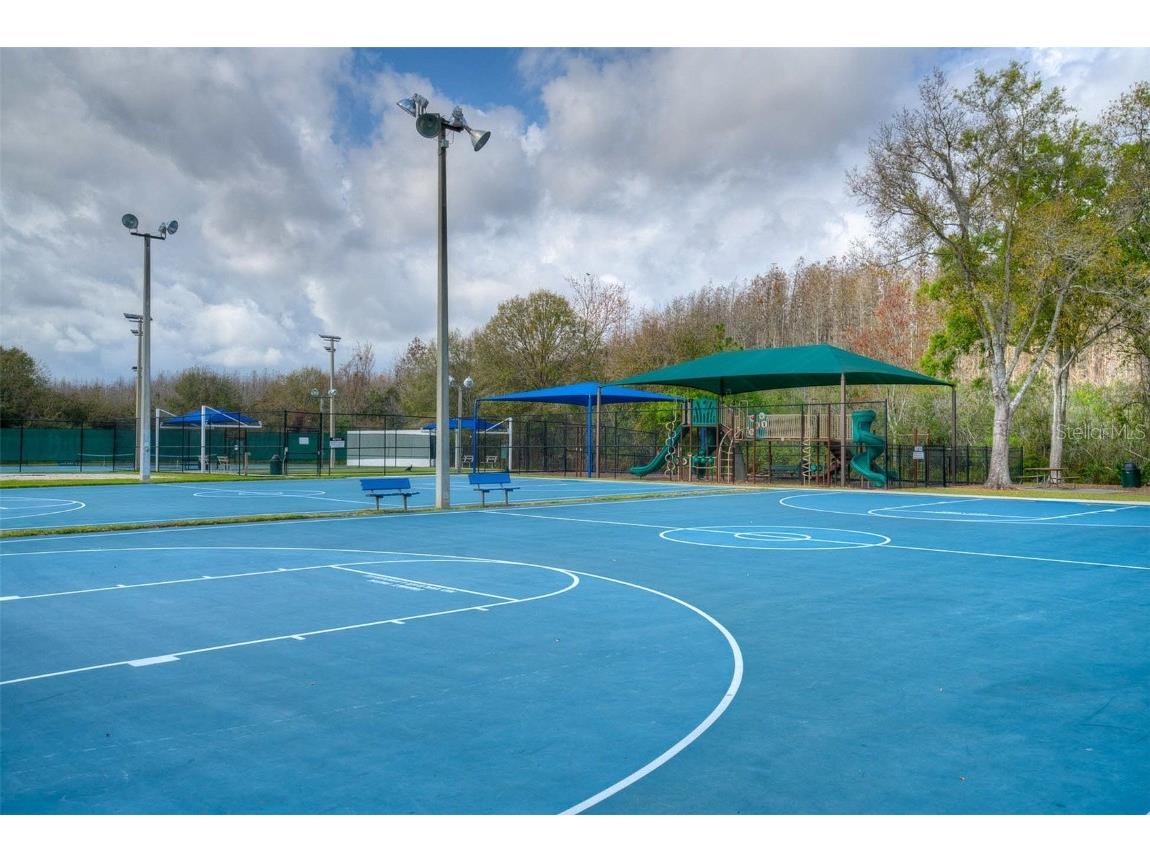 29233 Birds Eye Drive Wesley Chapel FL 33543 TB8457348 image35