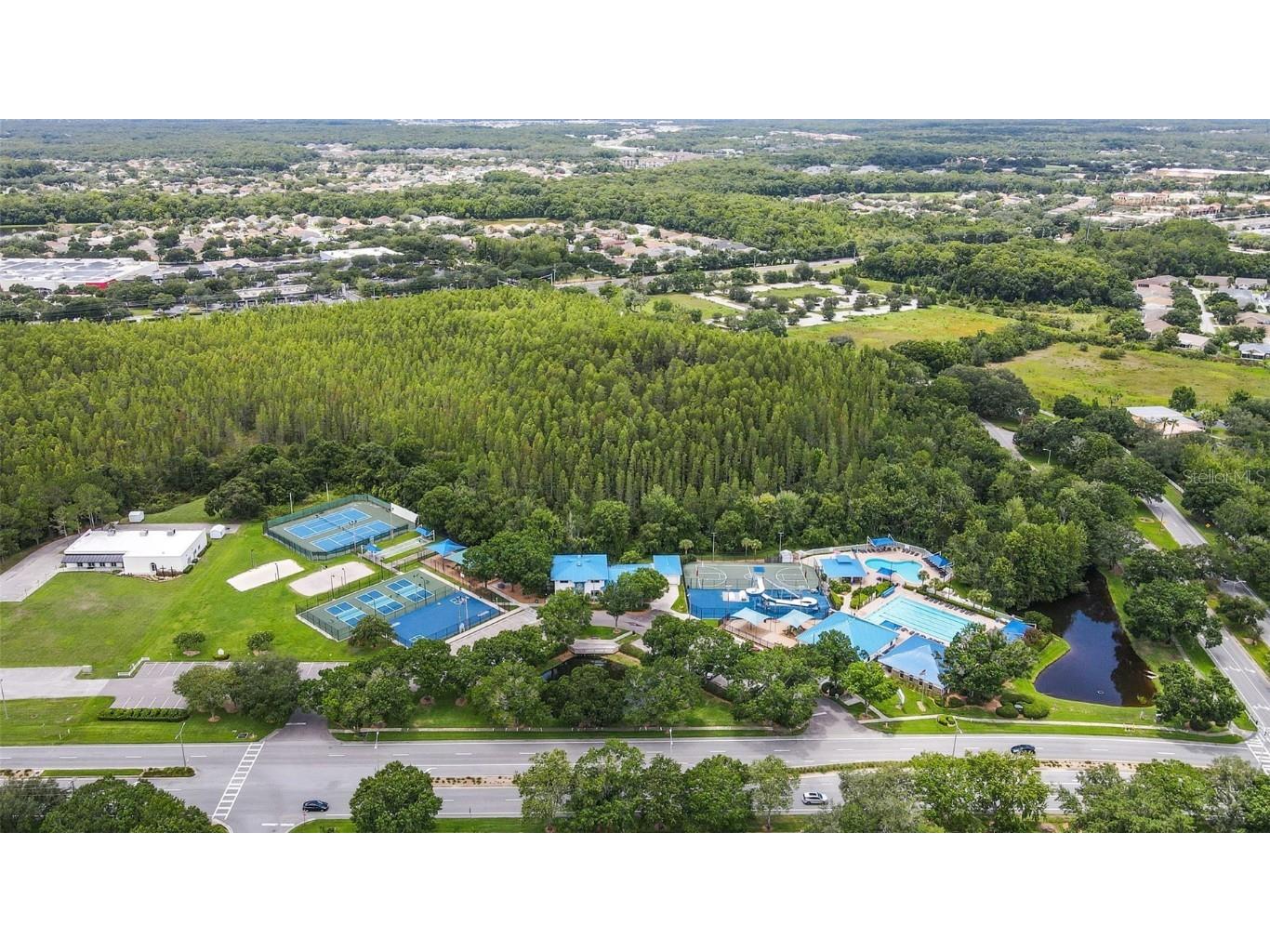 29233 Birds Eye Drive Wesley Chapel FL 33543 TB8457348 image38