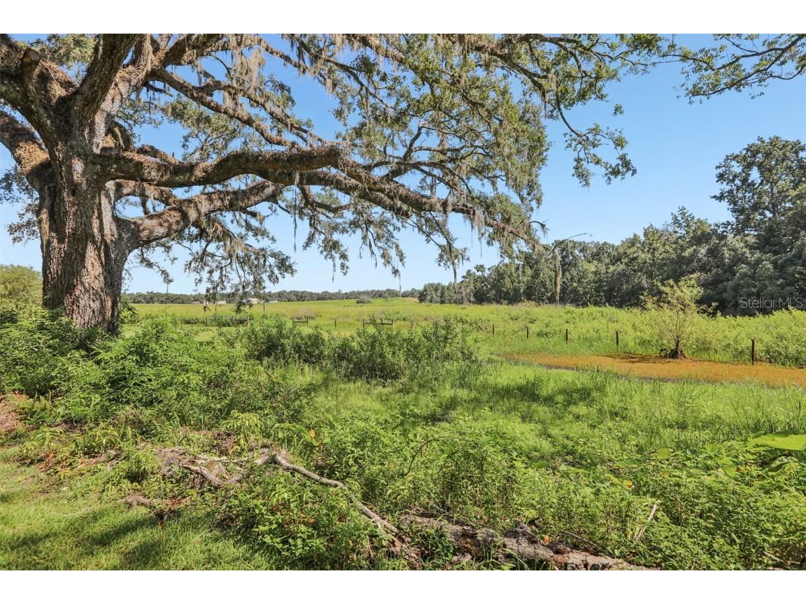 29235 Bayhead Rd Dade City FL 33523 P4935835 image48