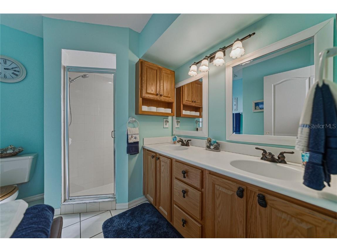 29235 Princeville Drive San Antonio FL 33576 TB8445848 image27