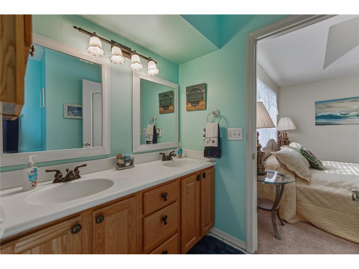 29235 Princeville Drive San Antonio FL 33576 TB8445848 image28