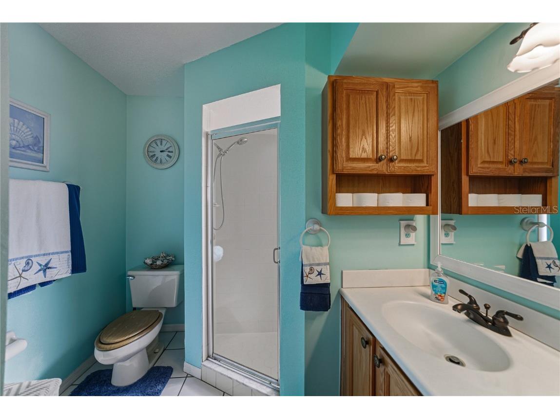 29235 Princeville Drive San Antonio FL 33576 TB8445848 image29