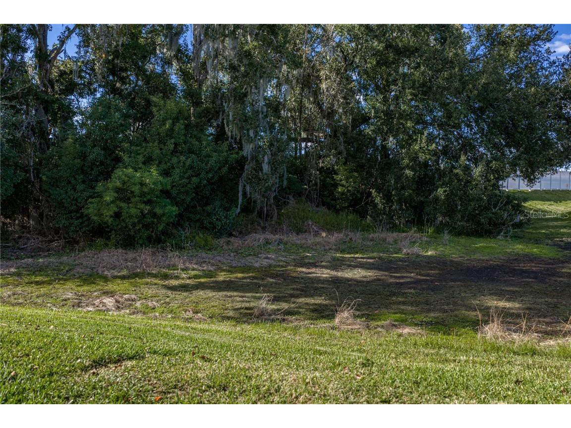 29235 Princeville Drive San Antonio FL 33576 TB8445848 image46