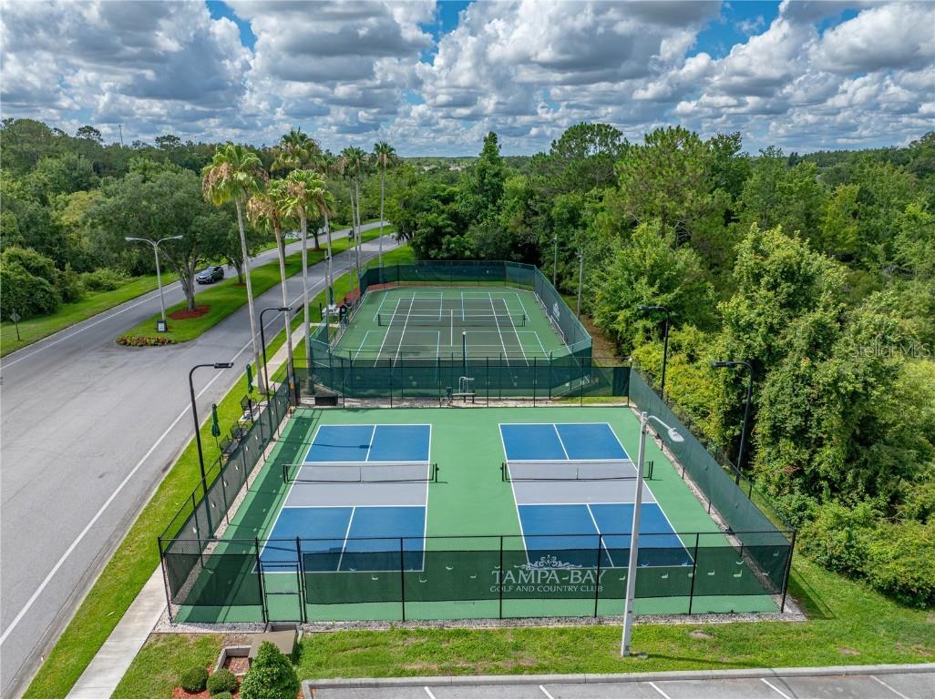 29235 Princeville Drive San Antonio FL 33576 TB8445848 image81