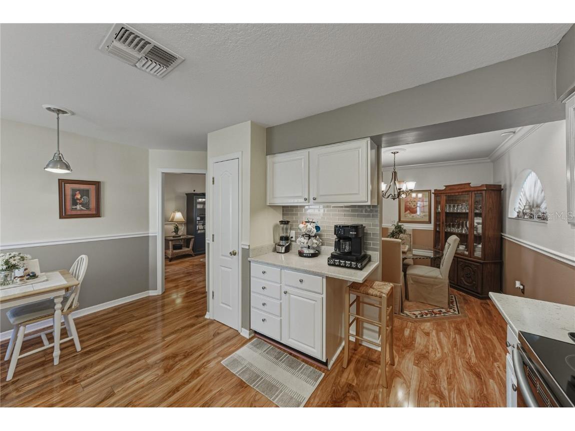 29235 Princeville Drive San Antonio FL 33576 TB8445848 image9