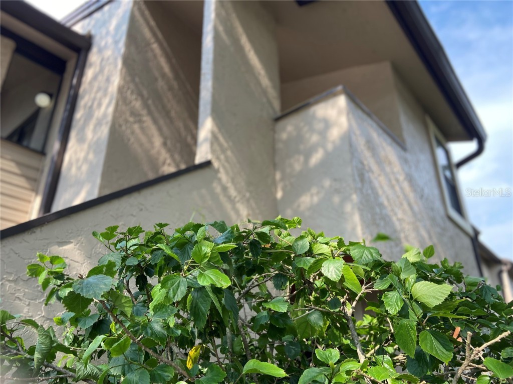 2924 Antique Oaks Circle #42 Winter Park FL 32792 O6231820 image1