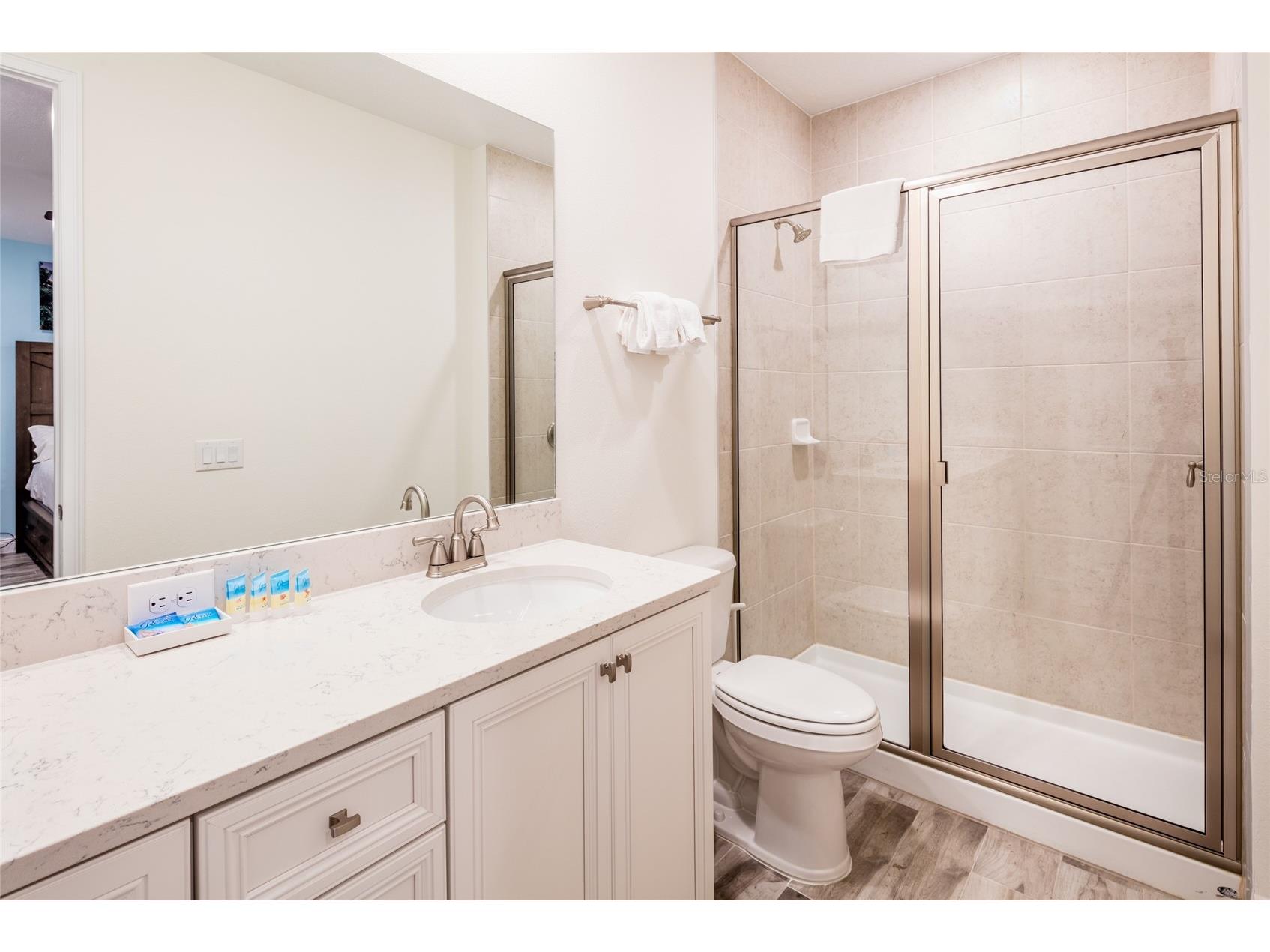 2924 Caribbean Soul Drive Kissimmee FL 34747 S5146209 image9