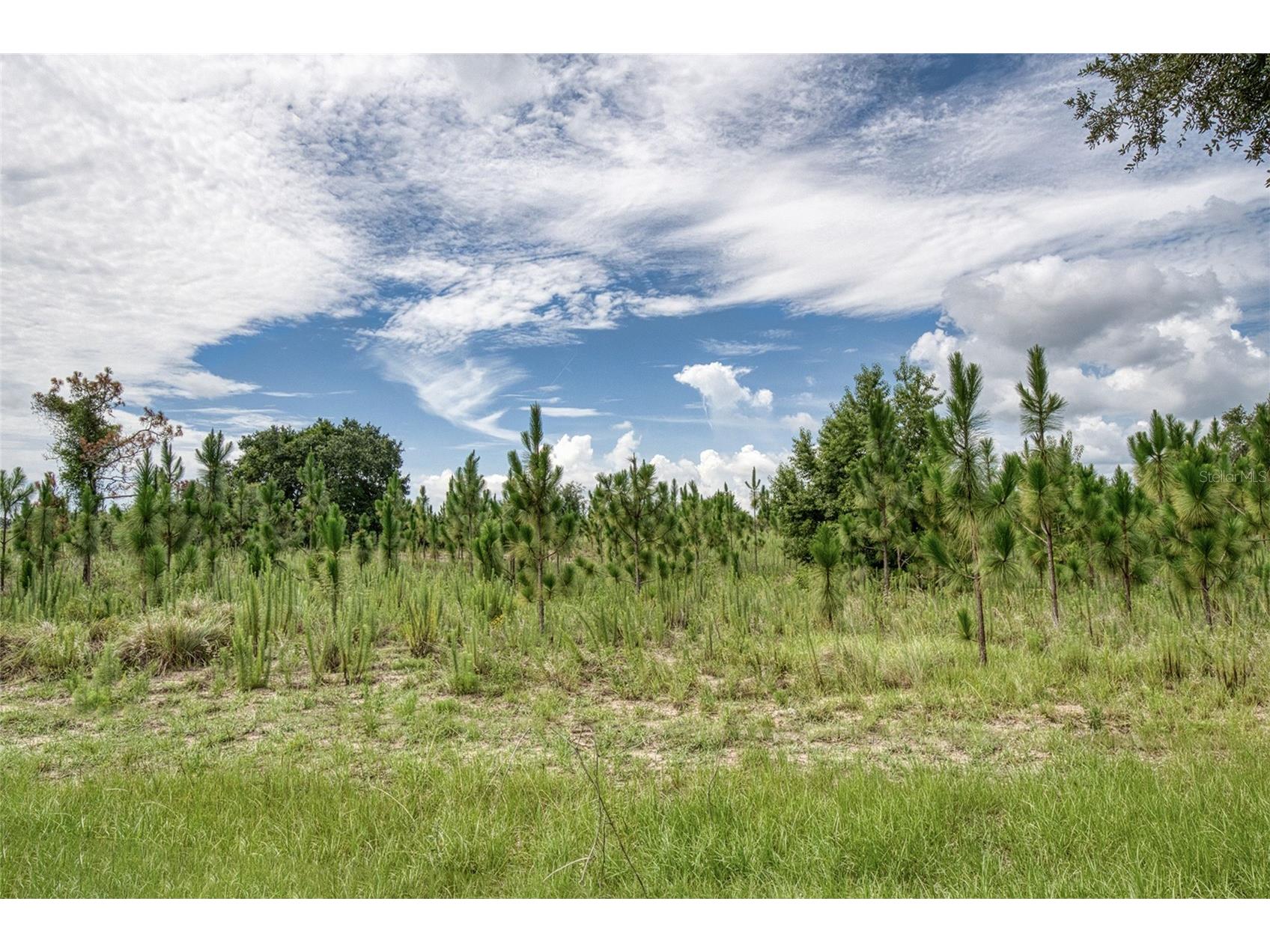 2924 Majestic Isle Drive Clermont FL 34711 O6424354 image56
