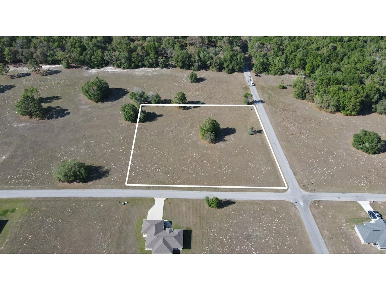 2924 N Anthony Avenue Hernando FL 34442 T3437488 image1